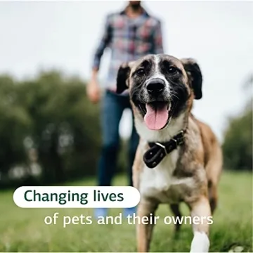 Standard Process Canine Whole Body Support for Daily Health