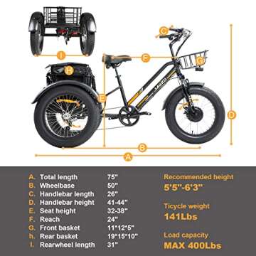 DWMEIGI 3 Wheel Electric Bike for Adult with 750W Motor, 48V 18.2AH Removable Lithium Battery, 20" F...