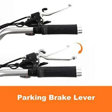 DWMEIGI Electric Trike with 750W Motor and Large Basket