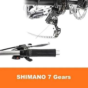 DWMEIGI Electric Trike with 750W Motor and Large Basket