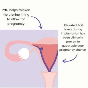 Proov PdG Test - Confirm Ovulation at Home