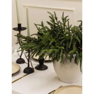 MISSPIN 12 Pcs 19.5 Inches Christmas Norfolk Pine Branches, Norfolk Pine Artificial Christmas Branches DIY Crafts Faux Christmas Norfolk Pine Branches for Xmas Indoor Outdoor Home Decor