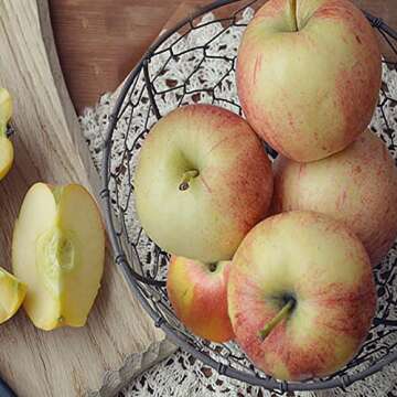 Farmhouse Wire Egg Basket for Fresh Eggs Collection