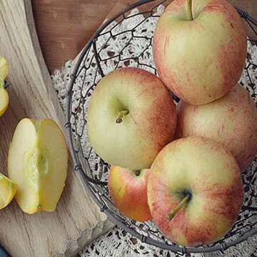 Farmhouse Wire Egg Basket for Fresh Eggs Collection