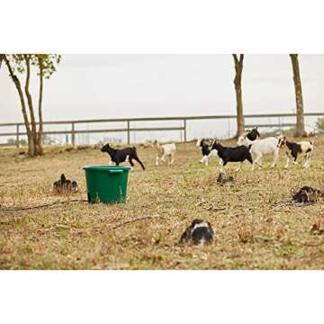 Farm Innovators Heated Bucket, Livestock Water Bowl with Heating Element, 16 Gallon