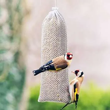 Weewooday 6 Pieces Finch Sock Feeder Thistle Socks Bird Feeder Instant Seed Sack for Outdoors Hanging 4.7 x 11 Inch (White)