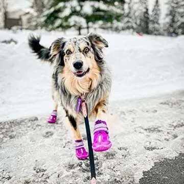 QUMY Dog Shoes for Large Dogs, Medium Dog Boots & Paw Protectors for Winter Snowy Day, Summer Hot Pavement, Waterproof in Rainy Weather, Outdoor Walking, Indoor Hardfloors Anti Slip Sole Purple Size 7