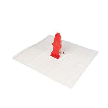 Rocky and Maggie's - Pop-Up Pee Pad - Puppy Pee Pad - Male Puppies and Dogs Will Love The Hydrant Target Pee Pee Pad for Potty Training - No Need for Pee Pad Holders, Trays or Diapers - Pack of 25