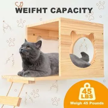 PETKABOO Cat Wall Furniture, Cat Shelves Wall Mounted with Climber, Condo, Scratching Post, Ladder & Platform