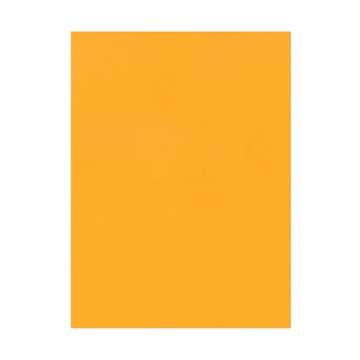 Quality Park 9 x 12 Catalog Mailing Envelopes - Self Sealing, 250 Count