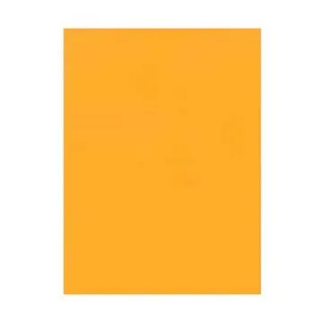 Quality Park 9 x 12 Catalog Mailing Envelopes - Self Sealing, 250 Count