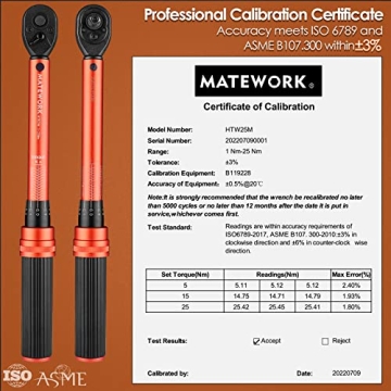 Buy Master Torque Wrench Set - Precision Bike Tool Kit