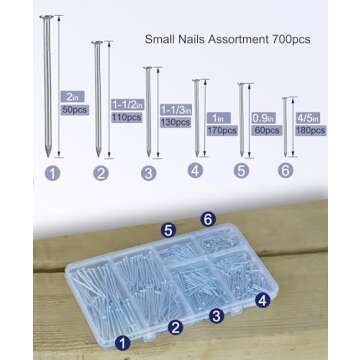 Eujqo 700pcs Assorted Nails for Hanging Pictures