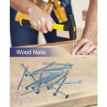 Eujqo 700pcs Assorted Nails for Picture Hanging