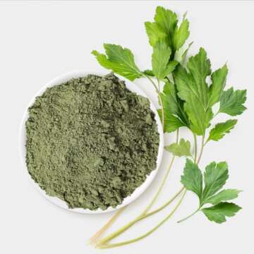 K-Herb Mugwort Powder | 300g for Authentic Flavor
