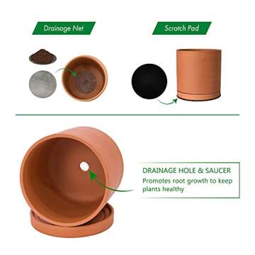 D'vine Dev Terracotta Pots with Drainage - 7.8, 9.6, 12 Inch