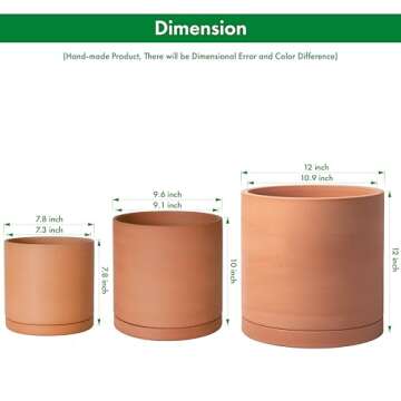 D'vine Dev Terracotta Pots with Drainage - 7.8, 9.6, 12 Inch