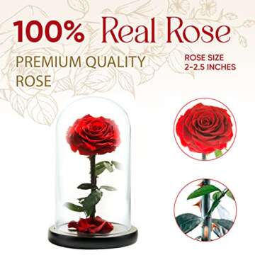 LOVAPPY Forever Preserved Rose - Eternal Rose in Glass Dome - Beauty and The Beast Rose for Mom - Fresh Flowers in Glass (Red, 9 Inch)
