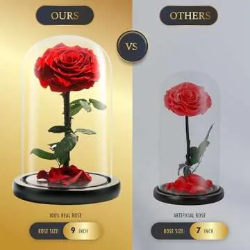 LOVAPPY Forever Preserved Rose - Eternal Rose in Glass Dome - Beauty and The Beast Rose for Mom - Fresh Flowers in Glass (Red, 9 Inch)