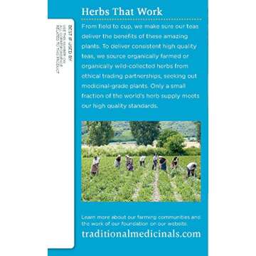 Traditional Medicinals Organic EveryDay Detox Schisandra Berry Herbal Tea, Supports Healthy Liver Function, (Pack of 1) - 16 Tea Bags