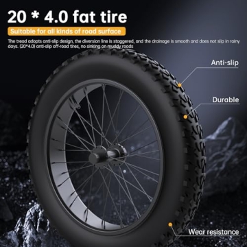 X21 Electric Bike 2000W Samsung Battery Off Road Adventure