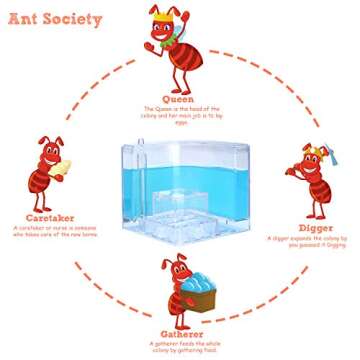 NAVADEAL Ant Farm Castle Experiment and Toy Allows Study of Social Structure, Architecture, Ecosystem, and The Behavior of Ants Within The 3D Maze of Translucent Gel