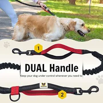 Hundefreund Hands Free Dog Leash for Medium and Large Dogs (30-150lbs) - Dual Handle Waist Leash for Running, Walking and Hiking with Adjustable Zipper Waist Belt and Reflective Elastic Bungee (Red)