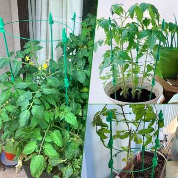 Adjustable Tomato Plant Support Cages 36 inches Garden Cucumber Trellis, Stake with 4 Adjustable Support Rings for Vegetables，Flowers，Fruit，Rose Vine Climbing Plants （4 Pack ）…