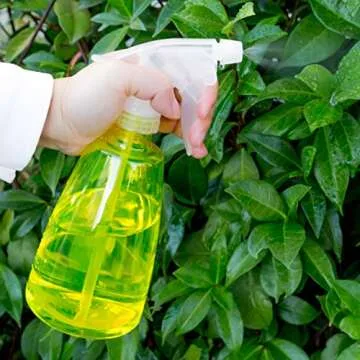 Youngever 6 Pack 16 Ounce Colorful Spray Bottles