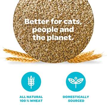 sWheat Scoop Wheat-Based Natural Cat Litter, Original Fast Clumping, 36 Pound Bag