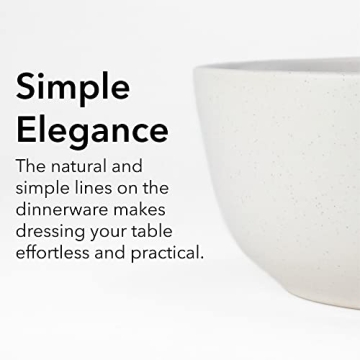 ARORA SKUGGA 16pc Stoneware Dinnerware Set for 4