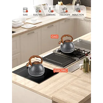 BELANKO Tea Kettle 2.7 Quart Whistling Stainless Steel Teapot