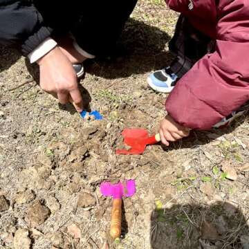 Kids Gardening Tools Set, 6PCS Gardening Tools for Kids Metal with Sturdy Wooden Handle Safe Gardening Tools 8" Children Beach Sandbox Toy