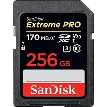SanDisk 256GB SDXC Extreme Pro Memory Card Two Pack (SDSDXXY-256G-GN4IN) 4K V30 UHS-I Class 10 Bundle with (1) Everything But Stromboli Combo Reader