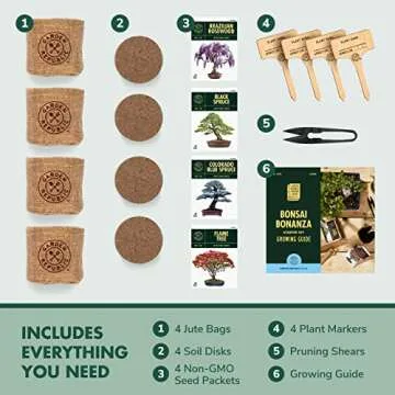 Bonsai Tree Seed Starter Kit for Gardening Enthusiasts
