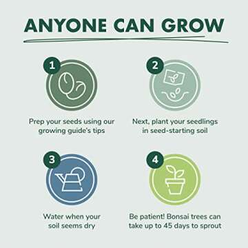 Bonsai Tree Seed Starter Kit for Gardening Enthusiasts