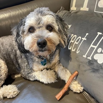 Durable Bam-bones PLUS for Aggressive Chewers