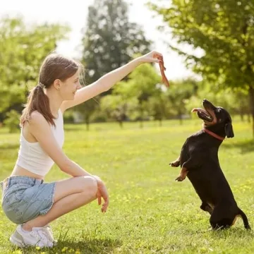 Durable Bam-bones PLUS for Aggressive Chewers
