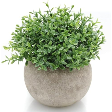 Mini Sage Green Potted Topiary for Home and Office Decor