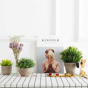 Mini Sage Green Potted Topiary for Home and Office Decor