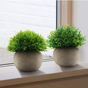 Mini Sage Green Potted Topiary for Home and Office Decor