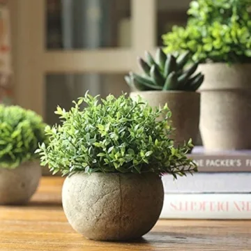 Mini Sage Green Potted Topiary for Home and Office Decor