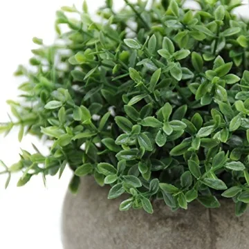 Mini Sage Green Potted Topiary for Home and Office Decor