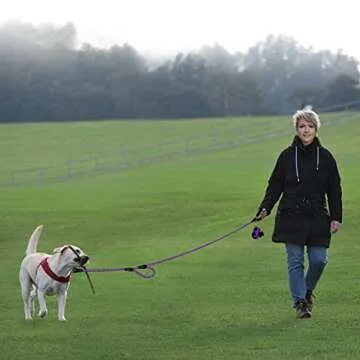 PLUTUS PET Rope Dog Leash 6ft Long,Traffic Padded Two Handle,Heavy Duty,Reflective Double Handles Lead for Control Safety Training,Leashes for Large Dogs or Medium Dogs,Dual Handles Leads(Violet)