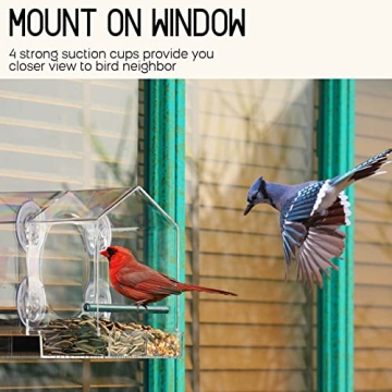 Mrcrafts Window Bird Feeder for Outside with Strong Suction Cups, Fits for Cardinals, Finches, Chickadees etc.