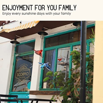 Mrcrafts Window Bird Feeder for Outside with Strong Suction Cups, Fits for Cardinals, Finches, Chickadees etc.