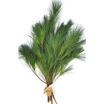 Tin Roof Treasure Fresh Cut Pine Boughs for Decor