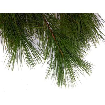 Tin Roof Treasure Fresh Cut Pine Boughs for Decor