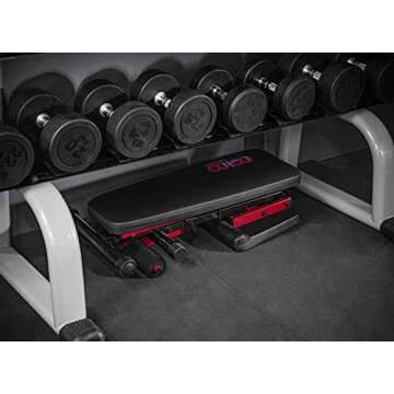 Pelpo Adjustable Weight Bench, Folding Weight Lifting Bench, Workout Bench for Home, Incline/Decline Bench for Full Body Workout, Strength Training Benches, Max Load 660lbs