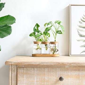 Dahey Plant Propagation Terrarium Desktop Glass Planter Station Water Planting Glass Vase with Lid a...